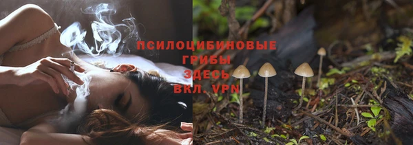 прущие крисы Инсар
